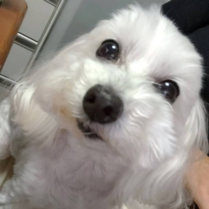 0c5b2e00 4d05 4612 8a9e 68c43542a39c 1637666868774