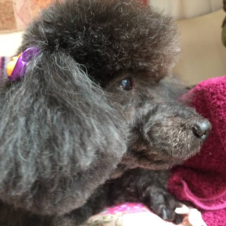 0c5b302e 0406 45fe 88bb aa66b441c9e3 1540959710526