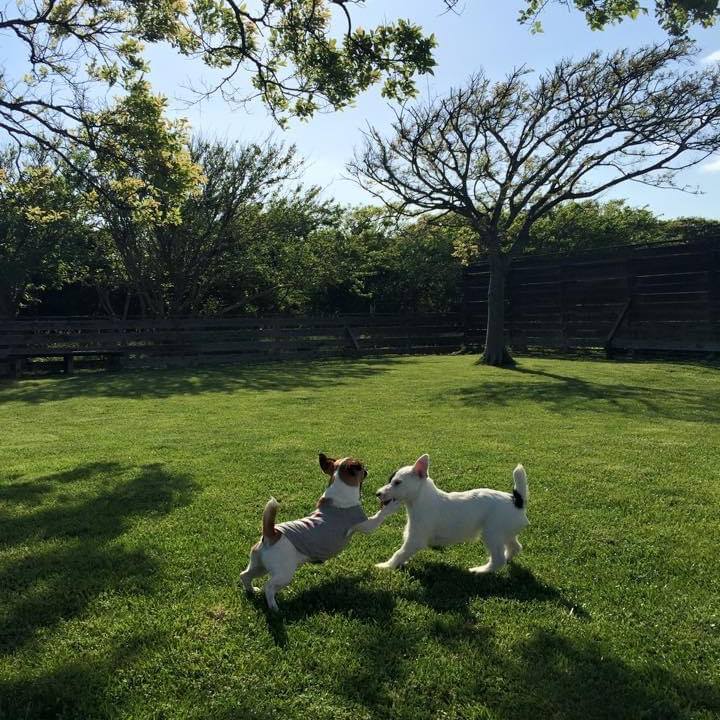 0c5b3a65 989c 4350 92ad 9f5cbd9d0751 1619794967567