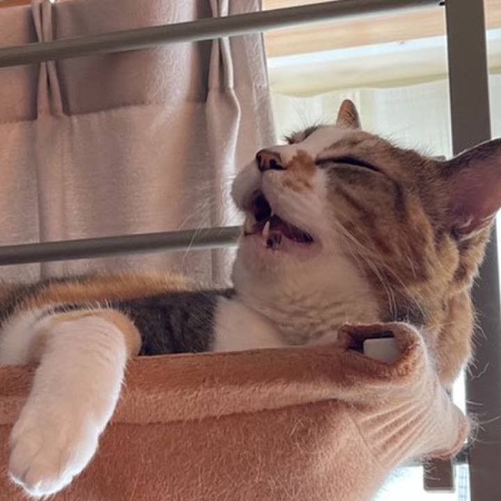 0c5b3b4f 1721 4e10 9c85 09f581c09b09 1627979219903