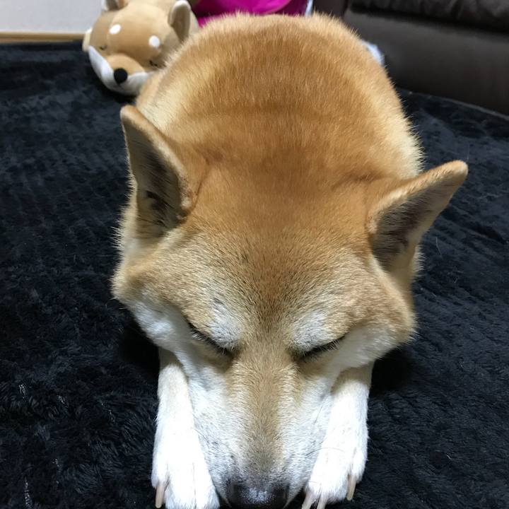 0c5b3ffc 6d93 4246 9782 65c6328d8c56 1508833579112