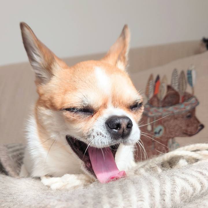 0c5b45dc 7a89 43b3 b694 0dc30861cee0 1648100906396