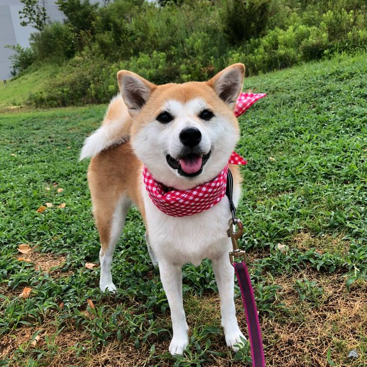 0c5b66d6 42c4 44aa a4b6 8c39c6498f6d 1532644425584