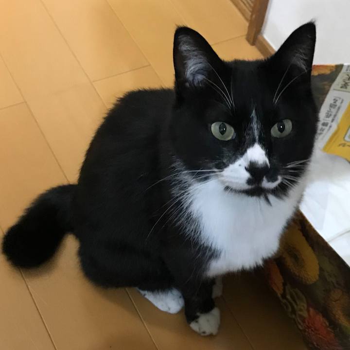 0c5b98cb 5596 4105 978d 3ab84803dfd8 1623727209683