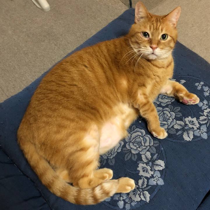 0c5b9eb7 647d 4084 bf32 1aa550302c24 1679836922248