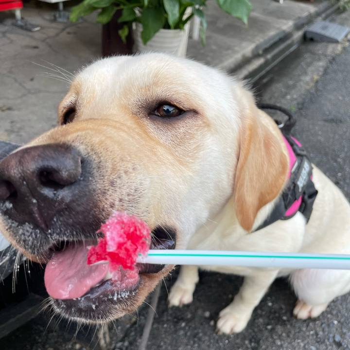 0c5ba0d2 98bb 4718 bb32 644772a27a03 1657451384371