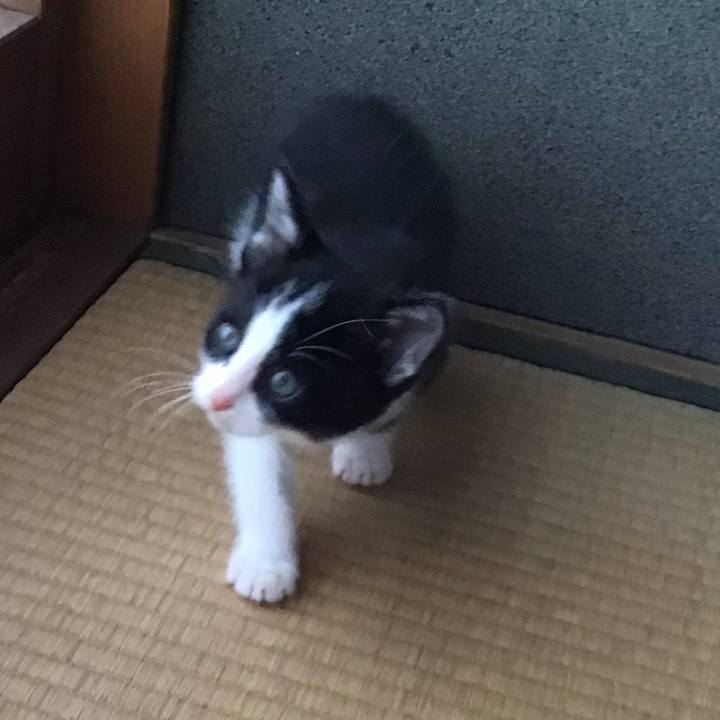 0c5bab67 d605 4b8a 8fac 7593ca2bc3d2 1622969314181