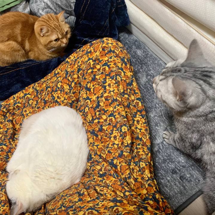 0c5bc064 1f1c 468d 8583 61d4bd0565da 1577785070821