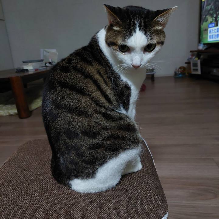 0c5be26b 6586 4b27 9b08 cd3d43c74bd3 1746992233144