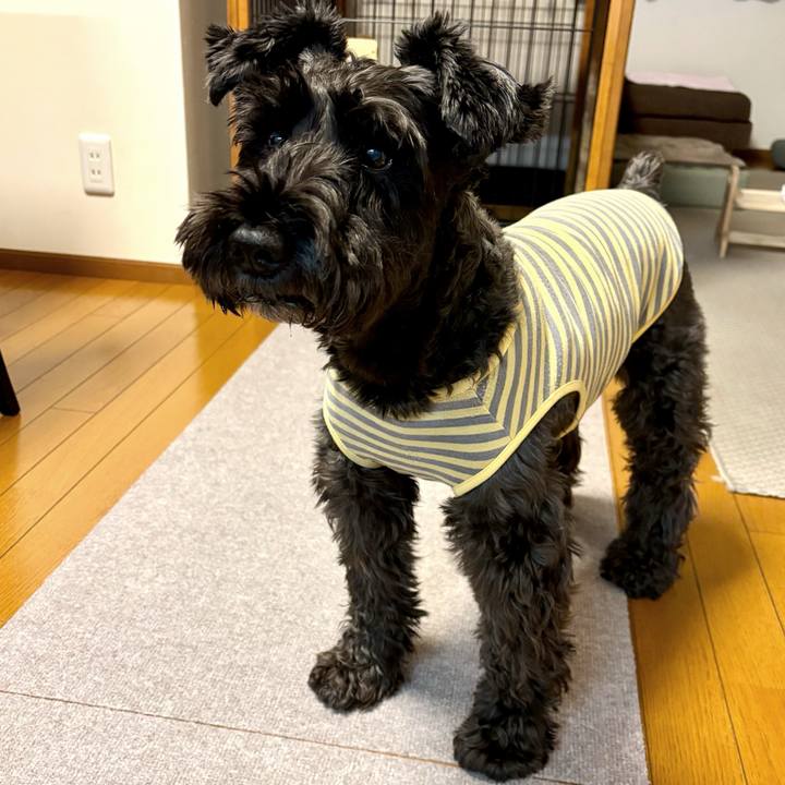 0c5c4316 c42e 4423 96a4 2c88cf67bc94 1761692967580