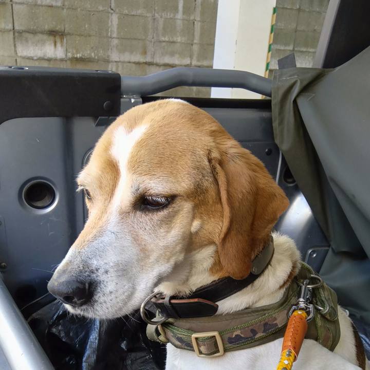 0c5c4318 b293 46e0 86ba 5e3de52fbd0a 1742437971017