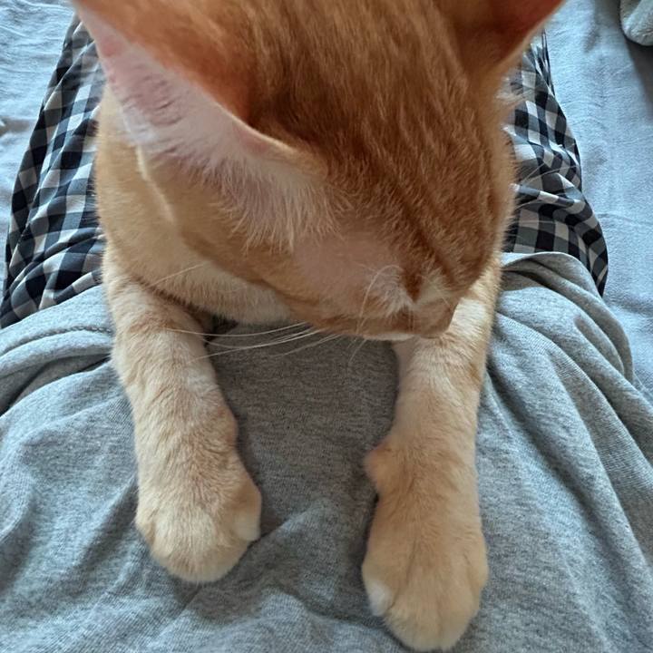 0c5ceea6 26bc 4e7e 992c ce1134eec3c4 1687208341198