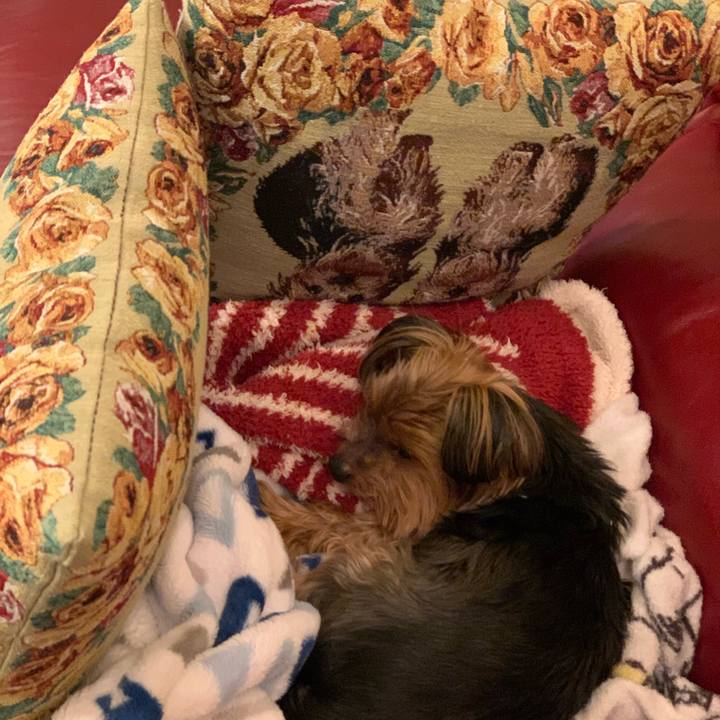 0c5cf591 0d35 40ff 9724 f1a4d10286de 1607681186943