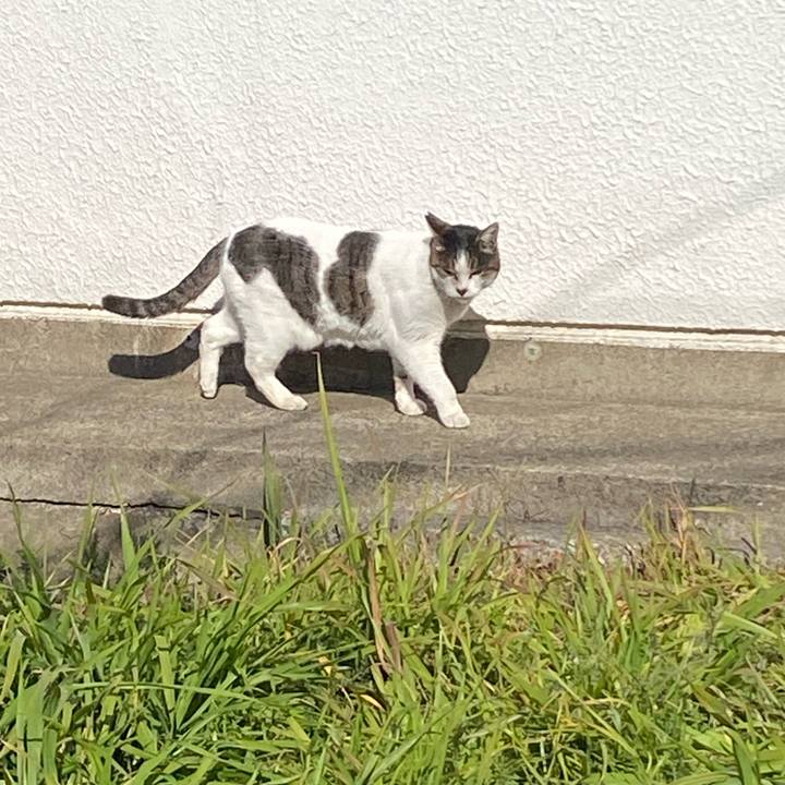 0c5d1ca0 d404 48a6 991d aab3c38bfc50 1771041813835