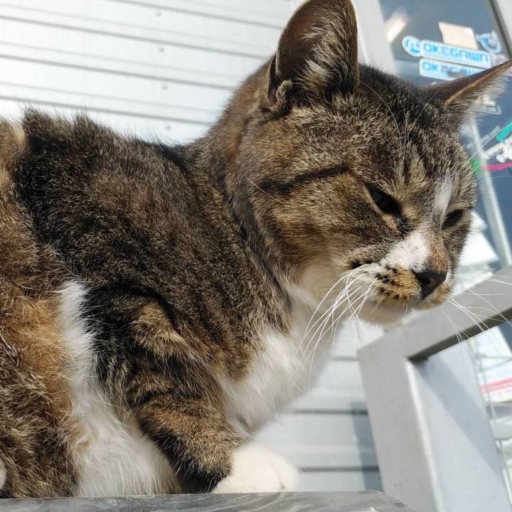 0c5d3c10 2e90 431e 86bf 67510b54d077 1582593887672