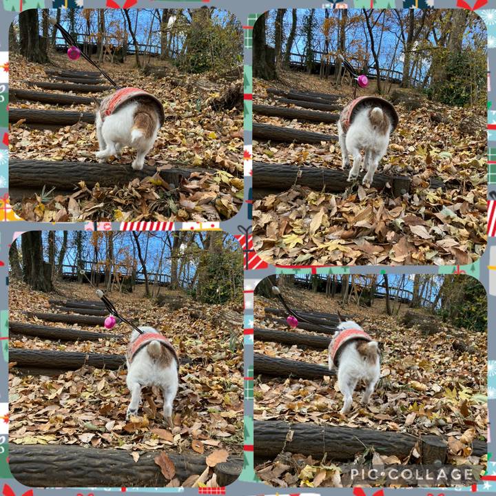 0c5dac3d 7cab 4d0c b61c 58804294fd46 1735169048136