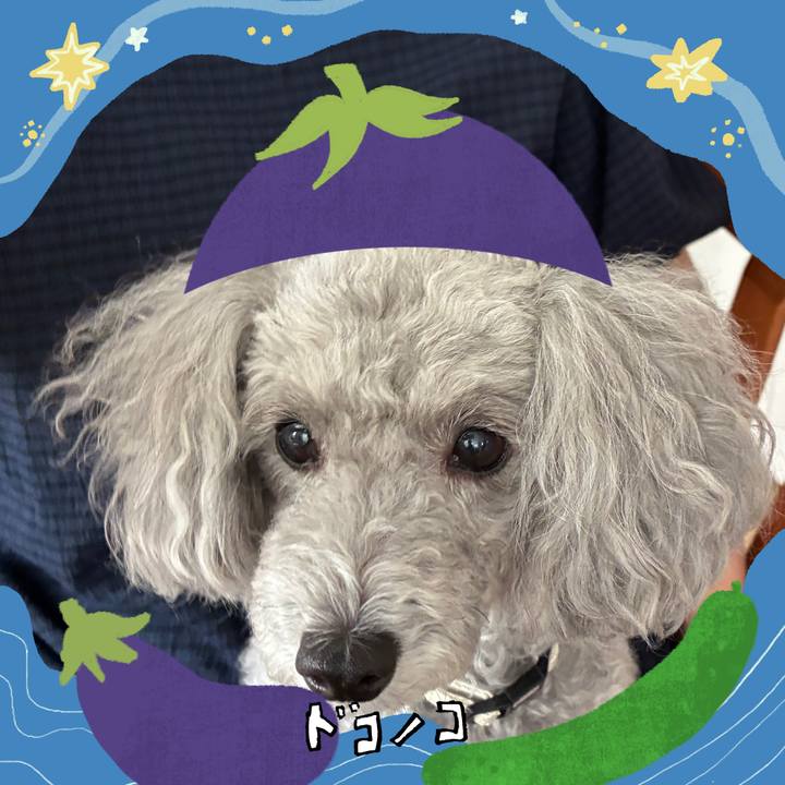 0c5dae00 9dd4 4e40 a2ae 6a600107caa4 1755066496235