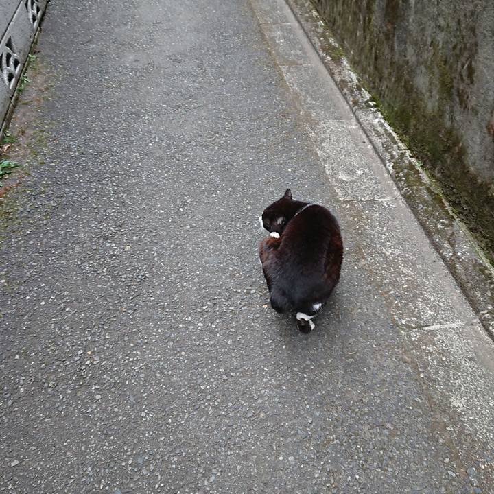 0c5db27e 516a 461f 8c5c 767b68f5ab23 1650237402709