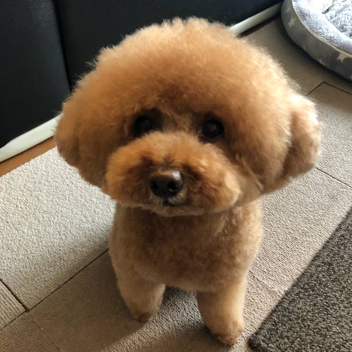 0c5dba40 5c97 458e bb50 15b2566177af 1617008030245