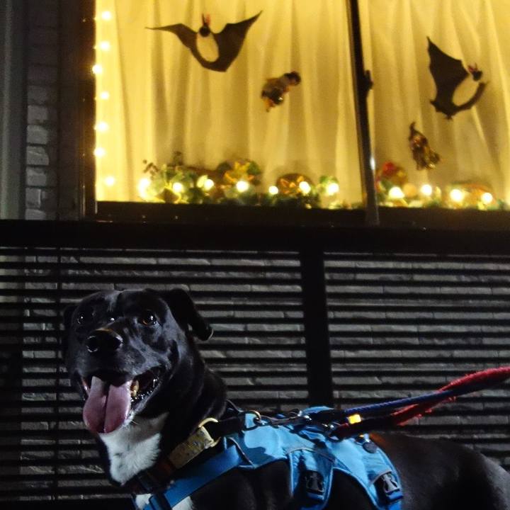 0c5dc643 70c9 48f0 8d24 3ce7422c2660 1633690609629