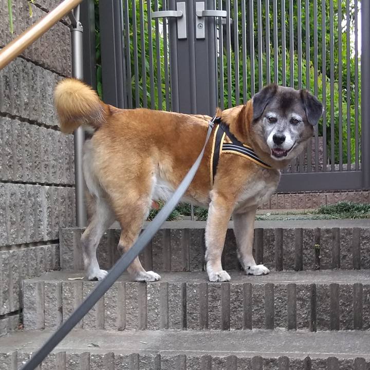 0c5dc9b3 b0e2 4e07 97fe 7889c50afe67 1557788574838