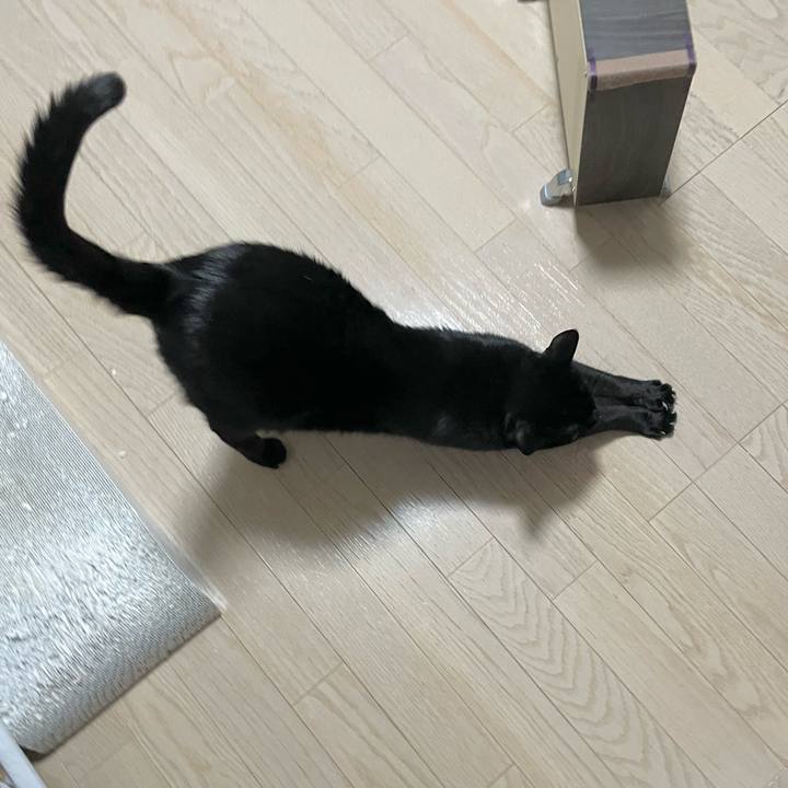 0c5dddf7 18bd 412b 8792 e1684642293b 1702383805556