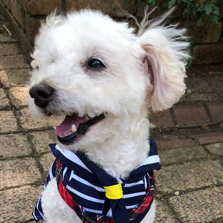 0c5e386f 12b7 4cc0 8bc9 0345ff0541dd 1526479618670