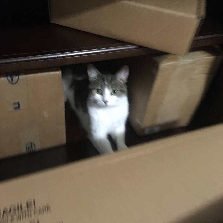 0c5e9f89 fce0 4ee1 ae13 62bcba318f31 1633878177356