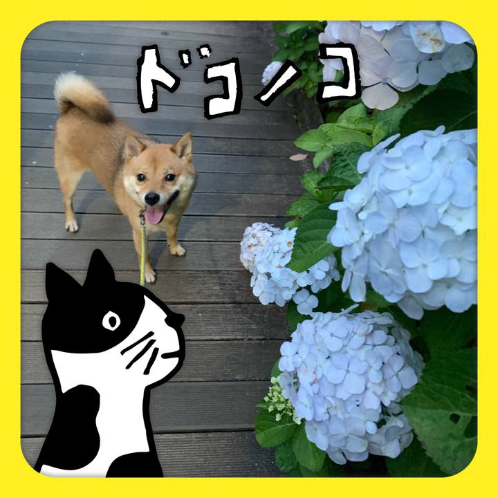 0c5eb497 0a15 48b8 92e6 71e41c6b9821 1622901621477