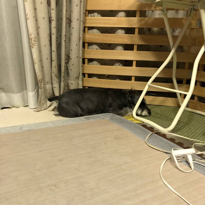 0c5ee032 d1b7 4d39 a1b8 093a849d71cf 1655647447712