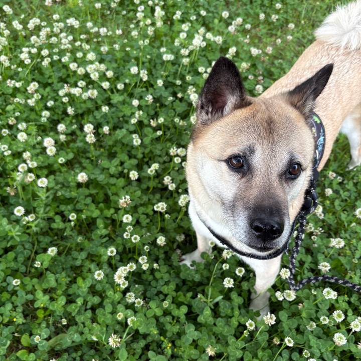 0c5f0278 527f 4e56 8675 94c29548fd0e 1746953801246