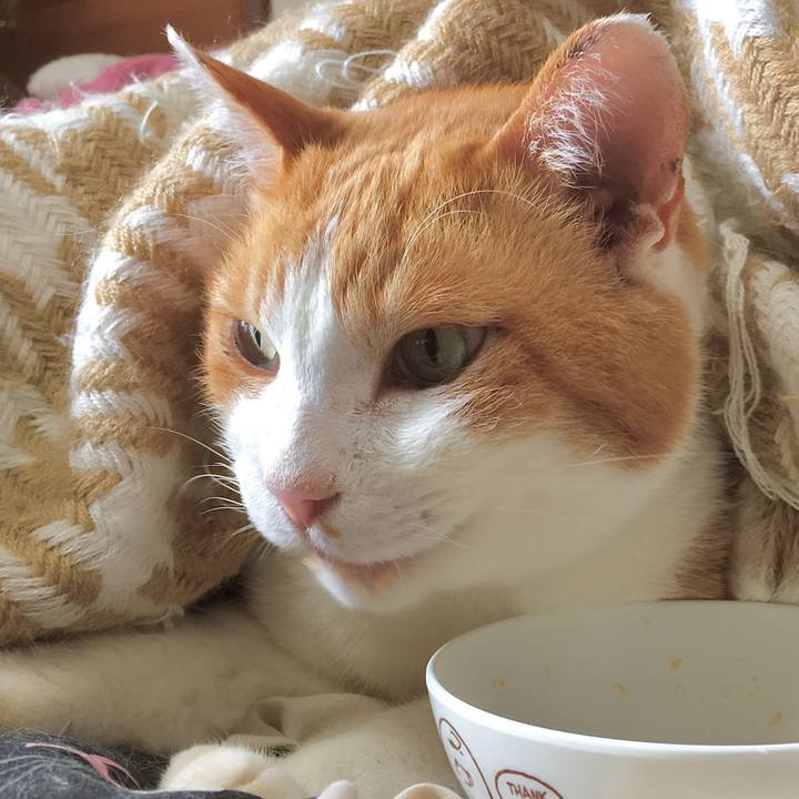 0c5f20eb d9df 449e 8380 8f01cfec2e92 1579504346987