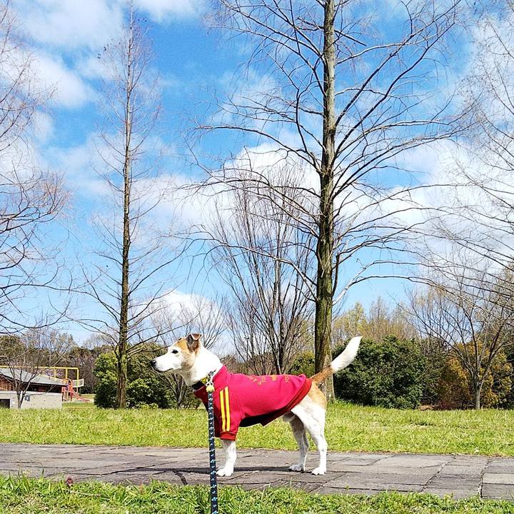 0c5f2306 9f67 49aa 98f9 31229f0254ea 1585459464434