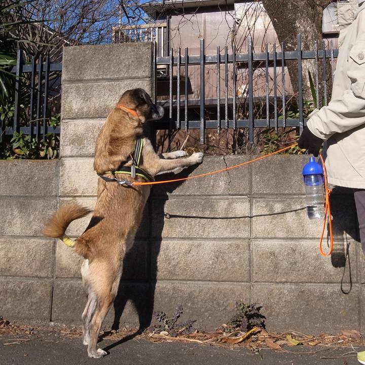 0c5f30b0 6292 4cb7 b1cb 104ed0928dd9 1583799296965