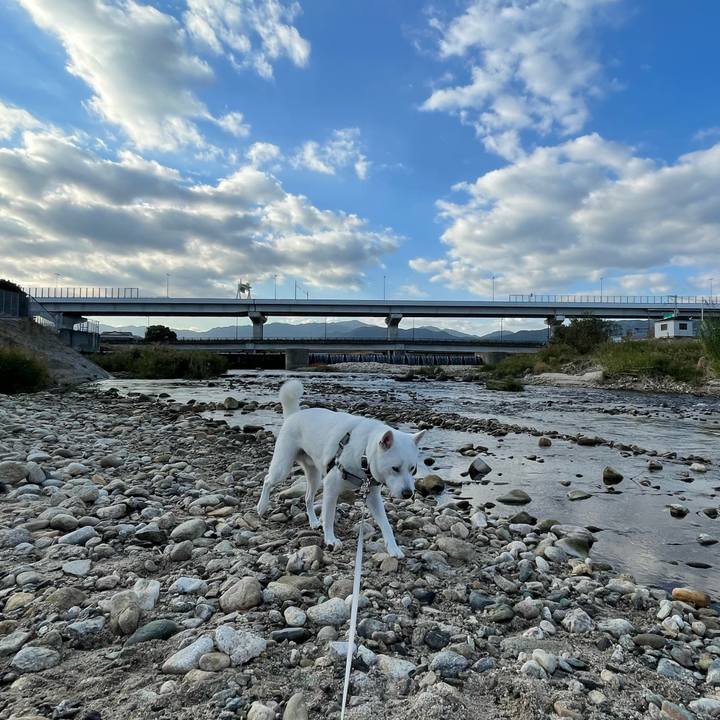 0c5f31d2 9c7d 41fe 8bfd 8a3ec6524227 1637970597358