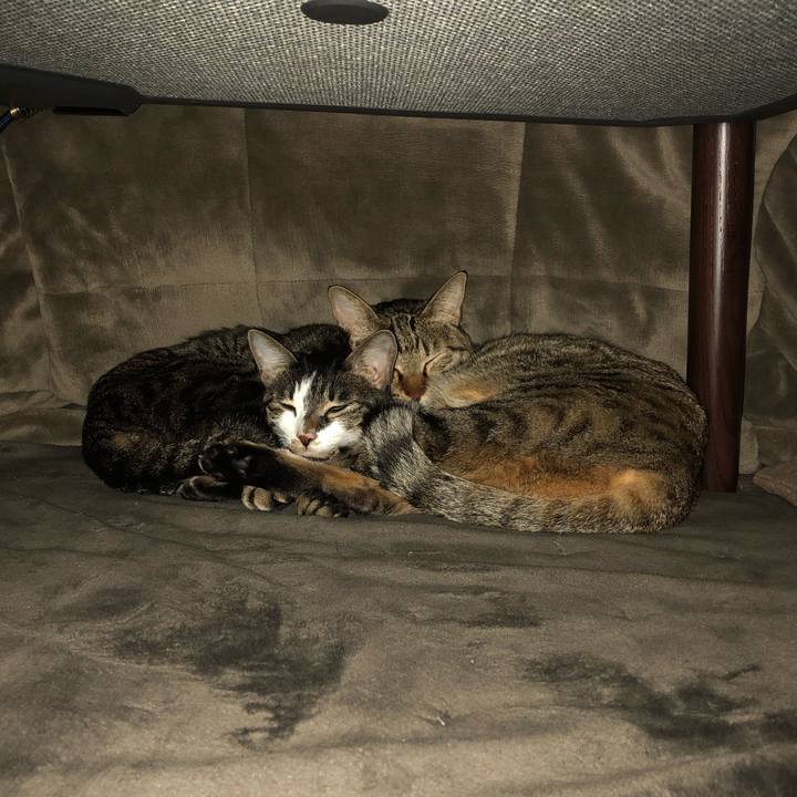 0c5f45dd 36e0 41e9 9e12 b236e1861962 1546977451845