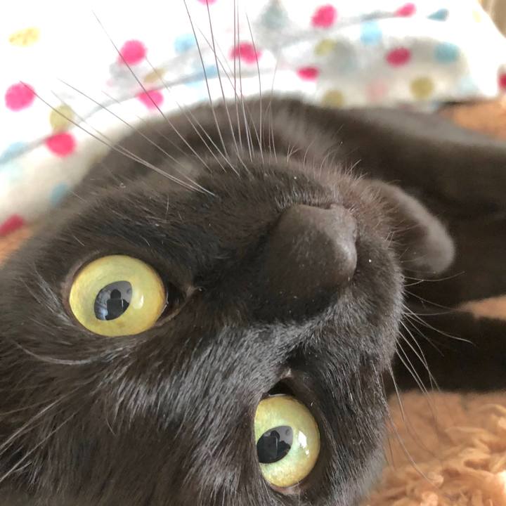 0c5f5366 a3da 4591 9b7c ac7c9d0e56eb 1523667967798