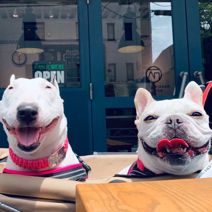 0c5f5ac2 c179 4824 821a 0fbb07891664 1560000426398