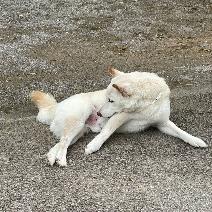 0c5f70de 1665 4133 9092 6e6d0b4a083f 1652614088901