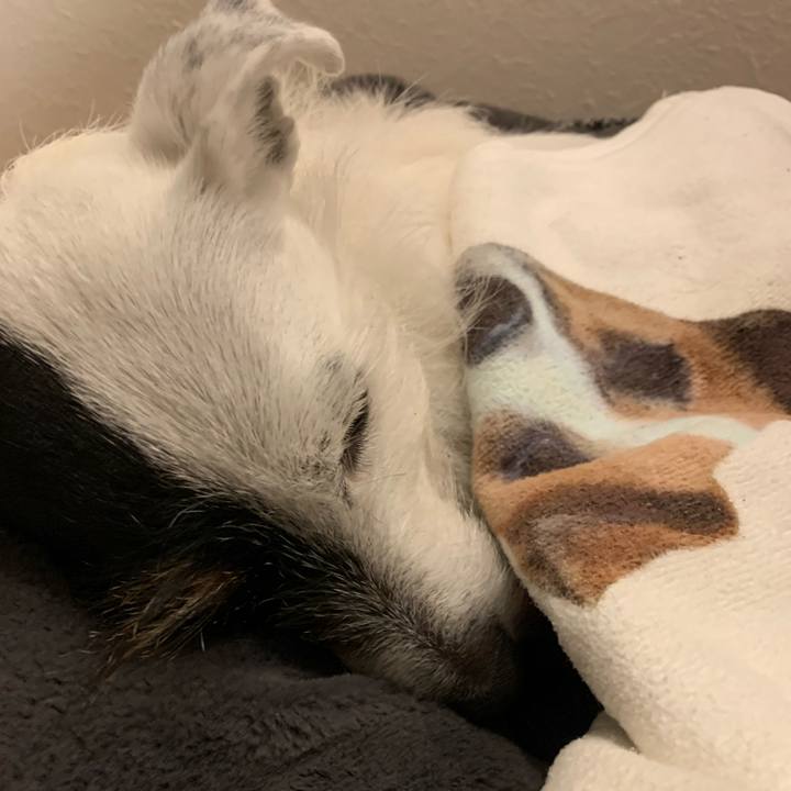 0c5f8c04 a032 44ae bd17 3e63e98be71d 1648644775352