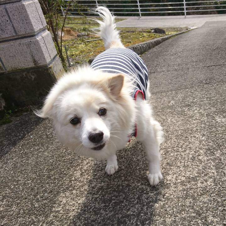 0c5f9a8b f474 48a0 97c0 856e08f44840 1550200065305