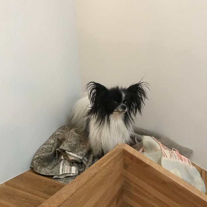 0c5f9bbe 7892 4144 8a15 36a3b4baf9cb 1526190264727