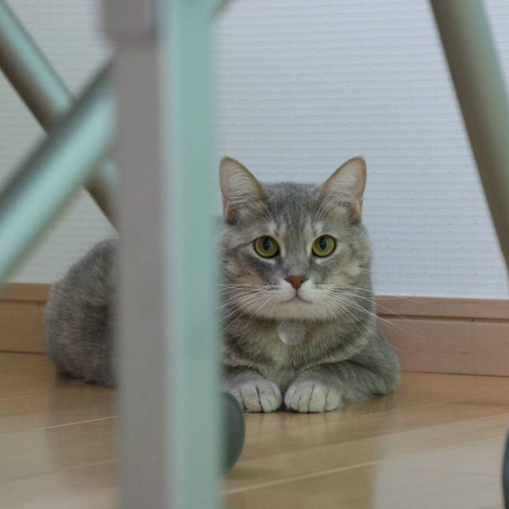 0c5fb6c7 09d7 48f0 bd01 a51b53f802f5 1544081055194