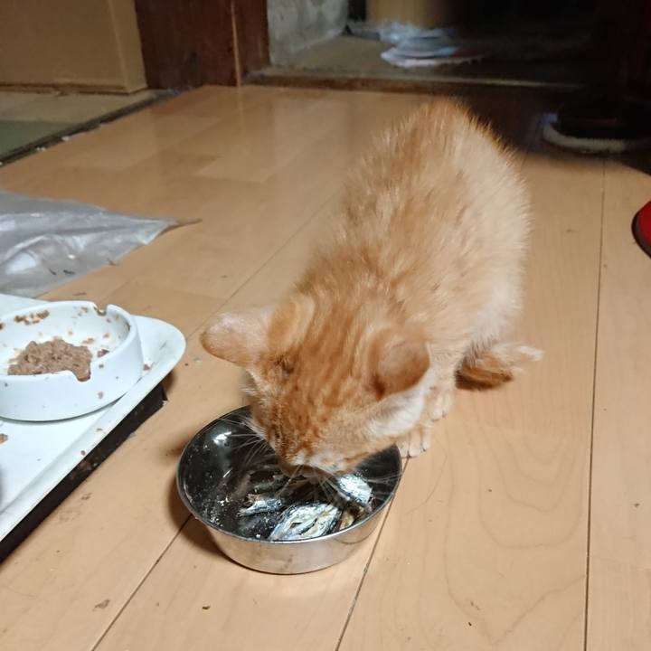 0c5fd16a 1a71 471a 85aa cfa68ad3d598 1630487773314