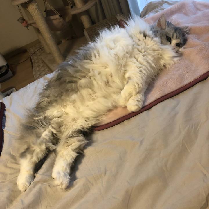 0c5fd613 a248 412e ac08 3f8d7ee1a62d 1639362751567