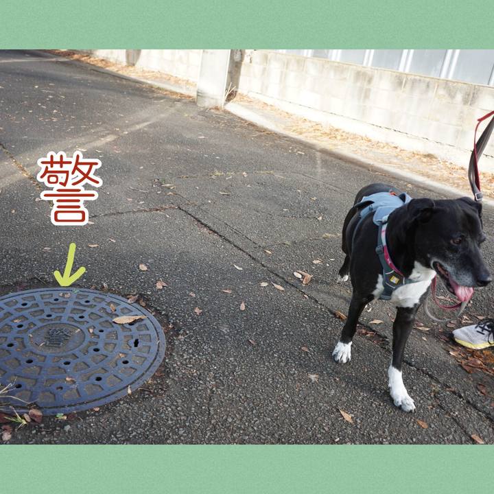 0c5fe4a1 0877 4d99 a63f 5062453d0141 1760750859641