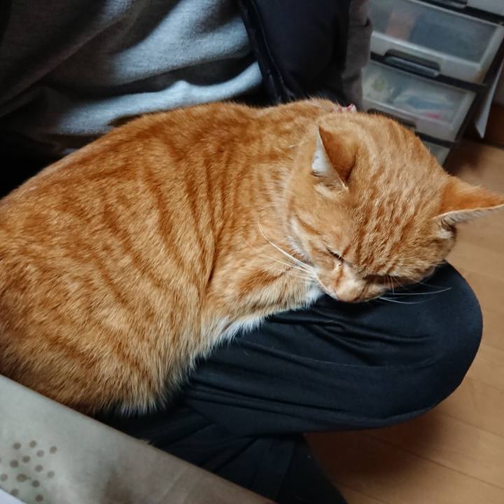 0c6039ff 10a2 4073 b3fe 2fb3fcd76449 1608420159131