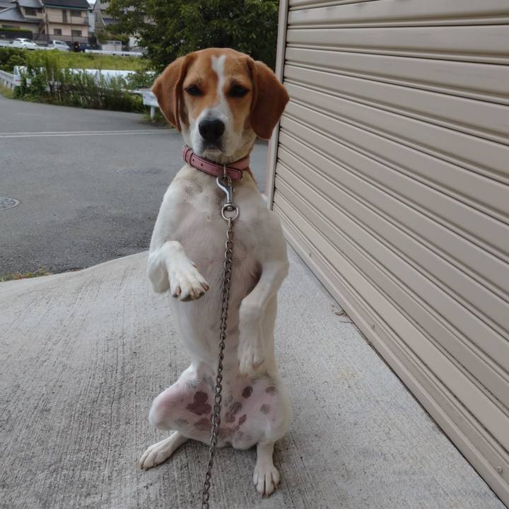 0c6056ff f70e 4f5e a460 00b42327ae3a 1595047946751