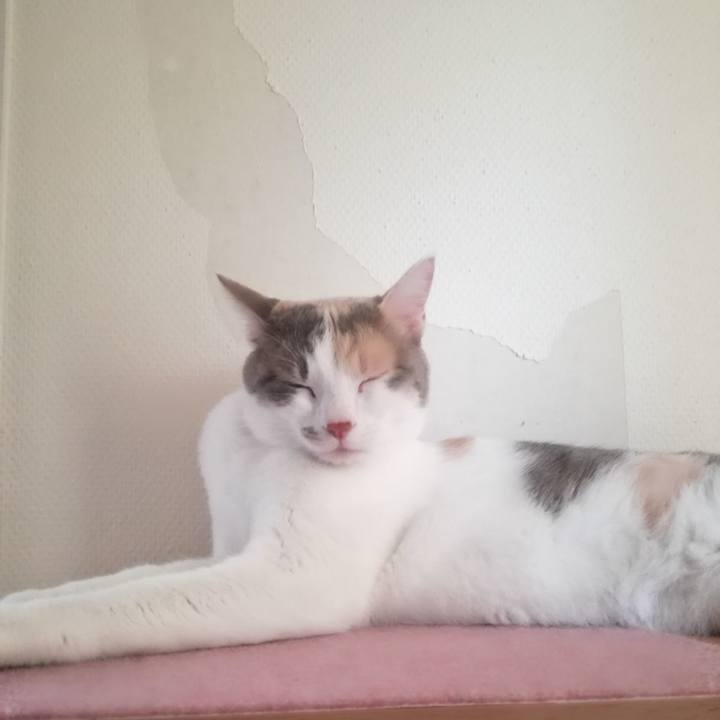 0c608fdb d200 4033 86c2 13668a28fd82 1528856177730