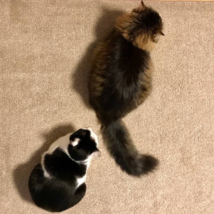 0c60969f d3df 4267 955c 4b6add053c05 1518523546549